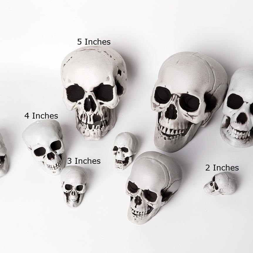 Halloween Decoration Human Skull Prop. - 2 Inces with Hanging Loop